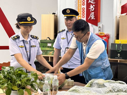 廣西龍勝“你點我檢” 科技賦能校園餐飲管理，守護學生舌尖安全